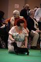 Crufts2011_2 550